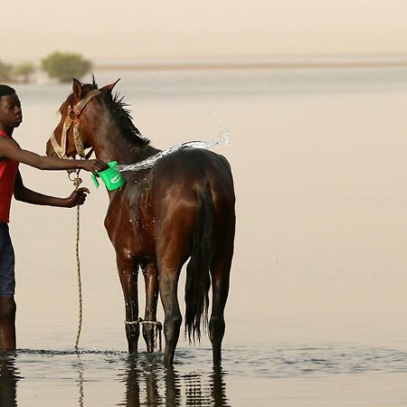 A La Ficelle Du Lac Rose نياغا المظهر الخارجي الصورة