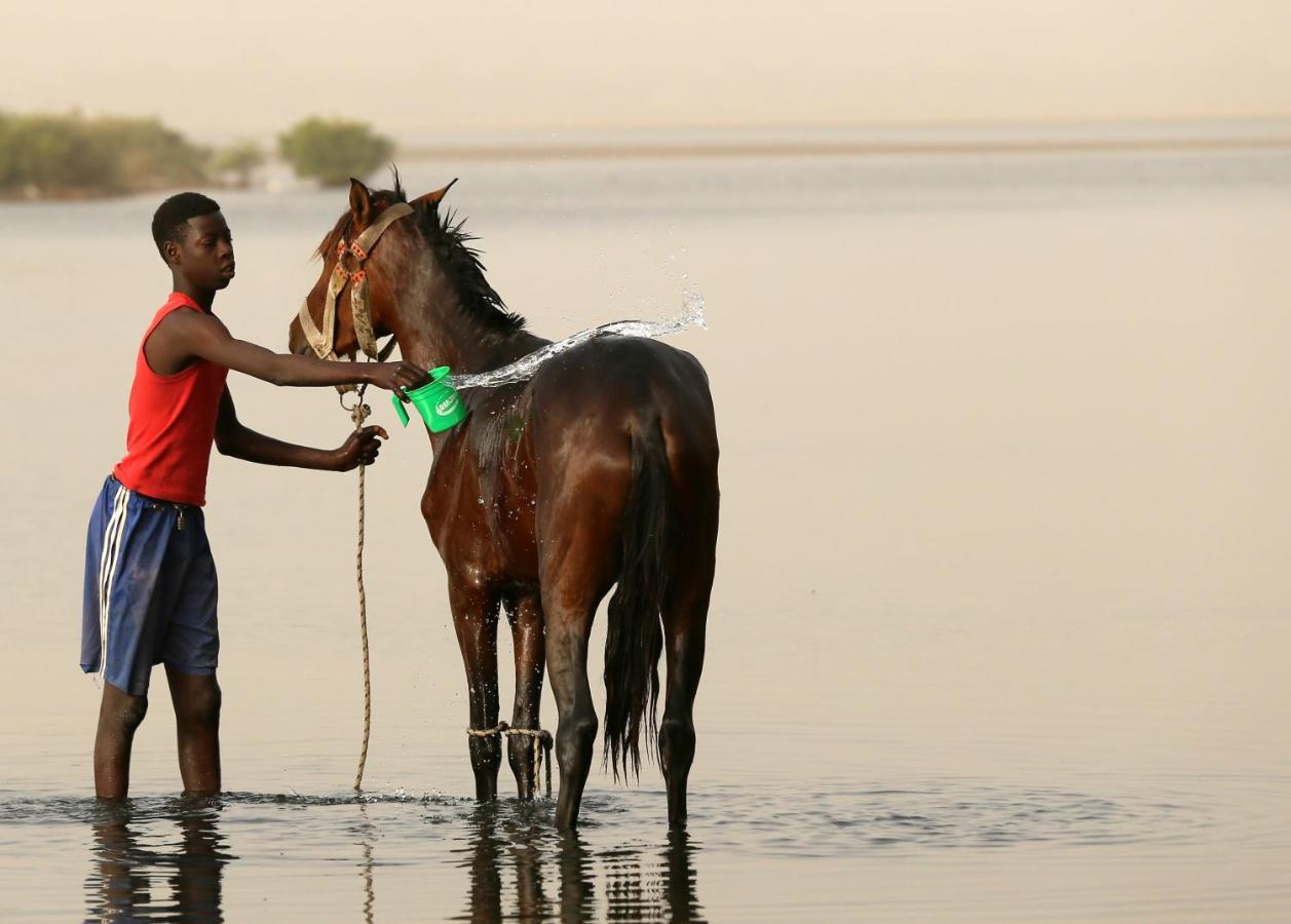 A La Ficelle Du Lac Rose نياغا المظهر الخارجي الصورة